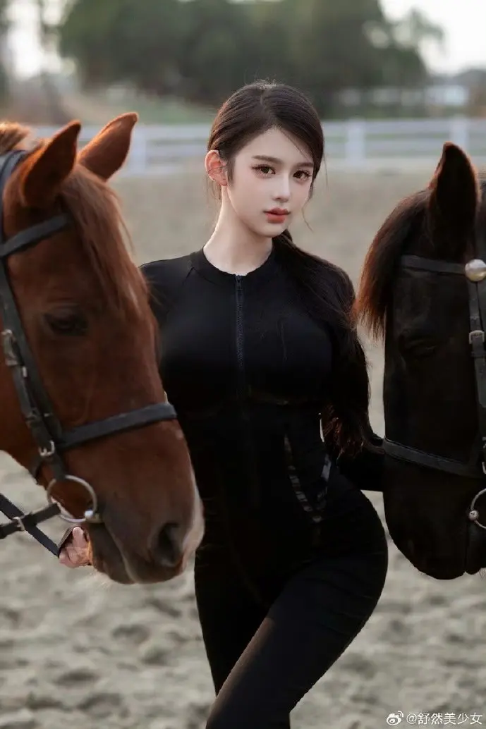 DIY下载数据统计图表